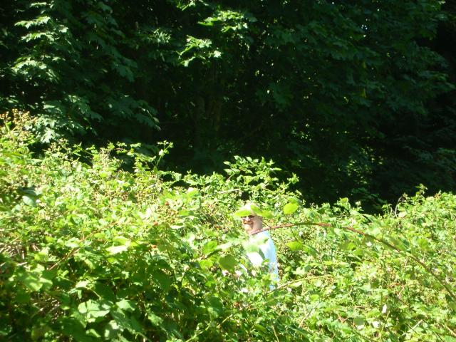 DSCN3662.jpg