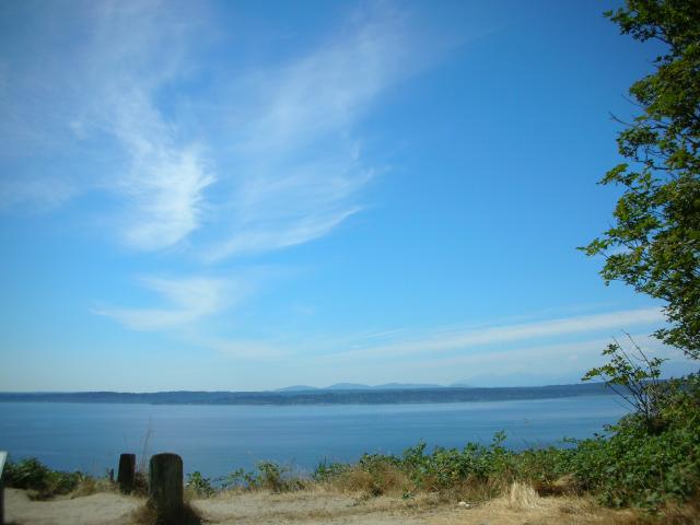 DSCN3664.jpg