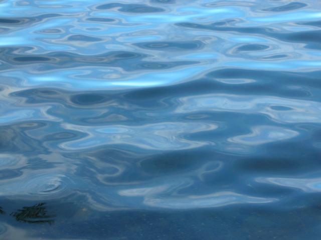 DSCN3771.jpg