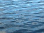 DSCN3772.jpg