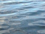 DSCN3773.jpg