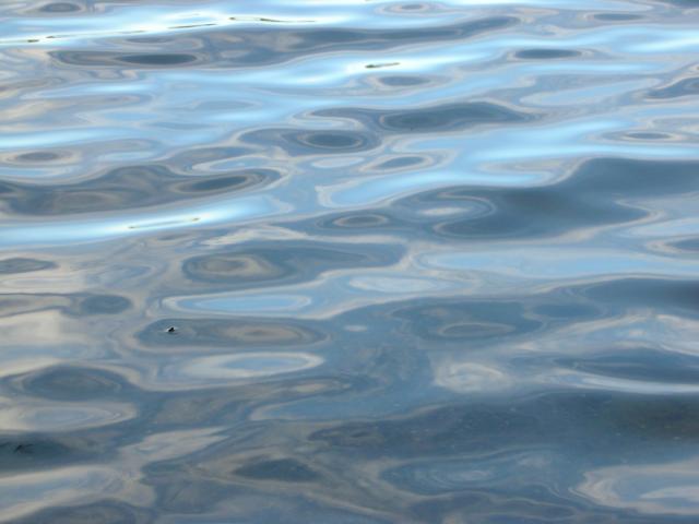 DSCN3773.jpg