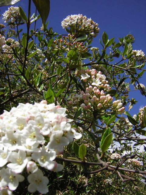 DSCN3021.jpg