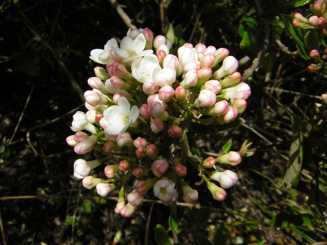 DSCN3022.jpg