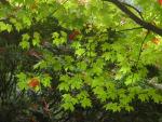 DSCN0455.jpg