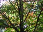 DSCN0456.jpg
