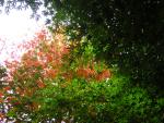 DSCN0457.jpg