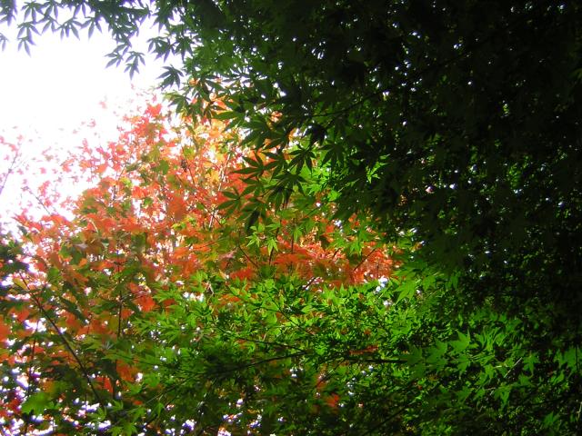 DSCN0457.jpg