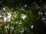 DSCN0458.jpg