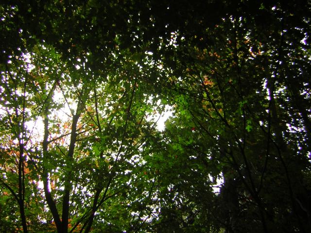 DSCN0458.jpg