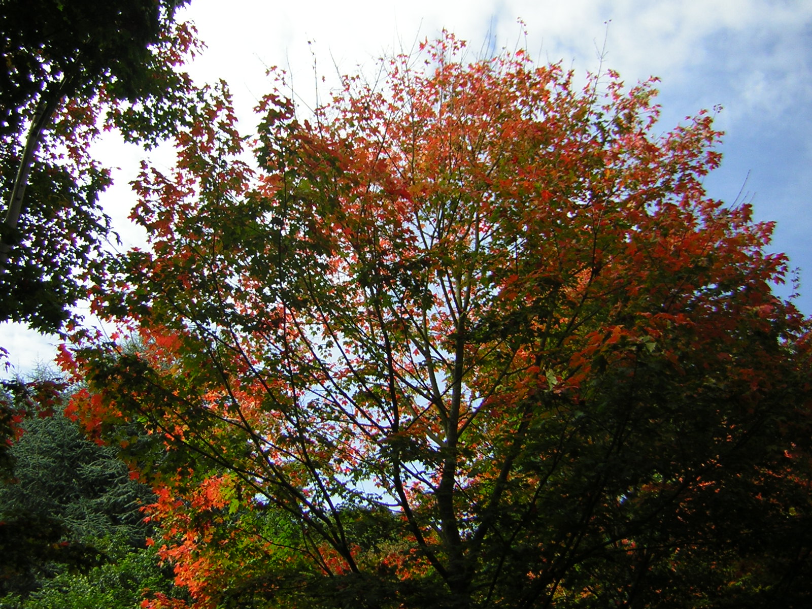DSCN0459.jpg