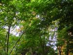 DSCN0461.jpg