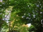 DSCN0462.jpg