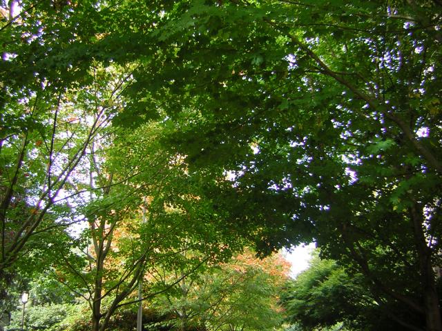DSCN0462.jpg