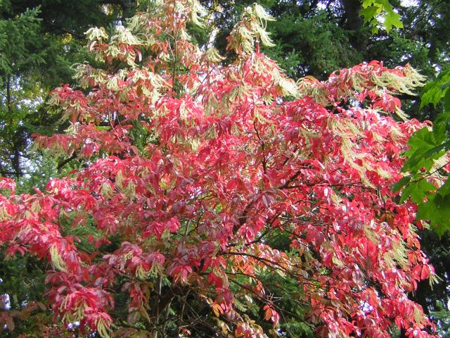 DSCN0463.jpg
