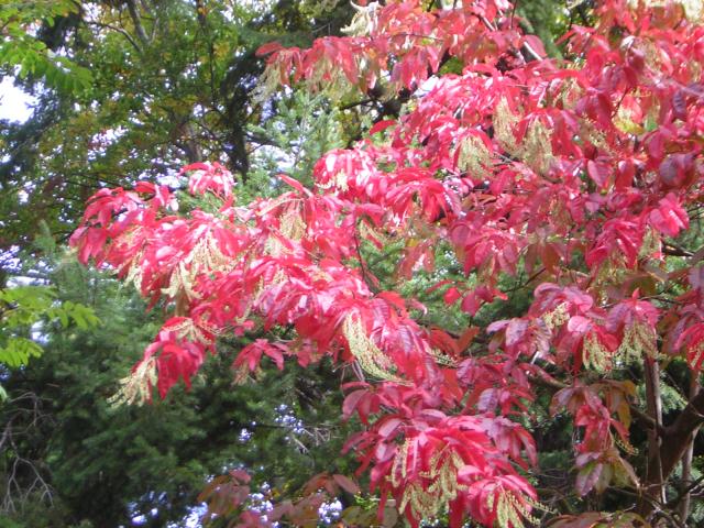 DSCN0465.jpg