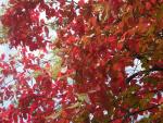 DSCN0467.jpg