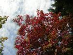 DSCN0468.jpg