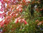 DSCN0469.jpg