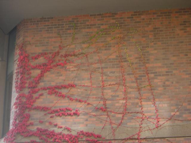 DSCN0470.jpg