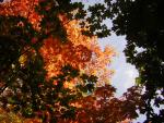 DSCN0484.jpg