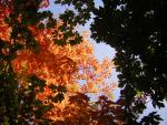 DSCN0485.jpg