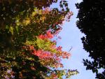 DSCN0486.jpg