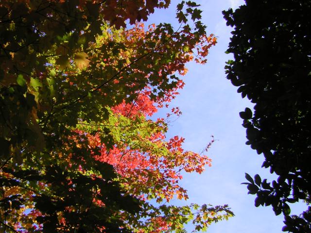 DSCN0486.jpg