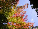 DSCN0487.jpg