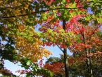 DSCN0488.jpg