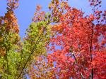 DSCN0489.jpg