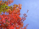 DSCN0490.jpg