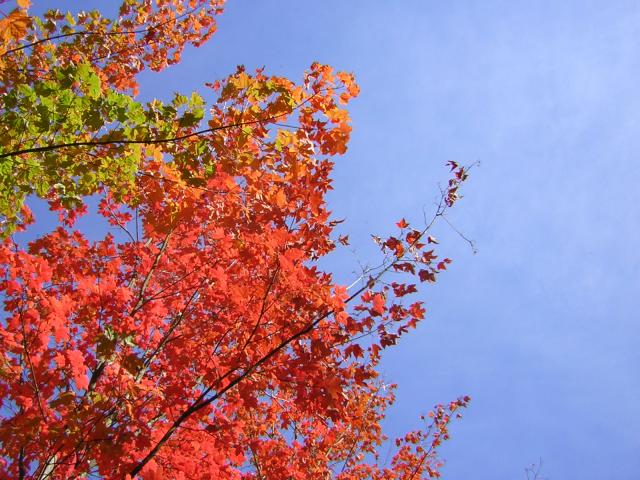 DSCN0490.jpg