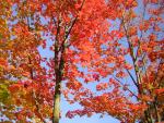 DSCN0491.jpg
