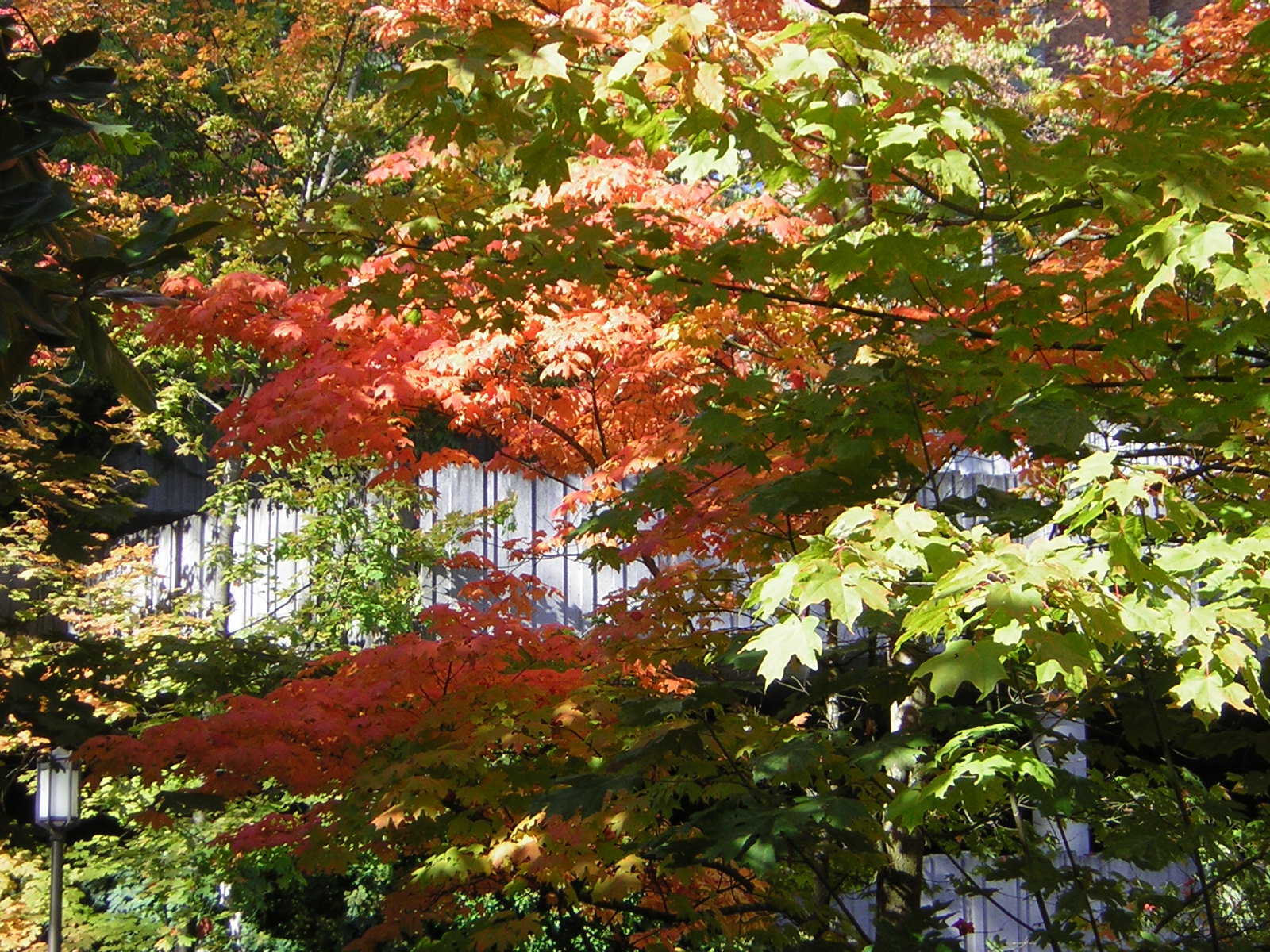 DSCN0492.jpg