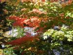 DSCN0492.jpg