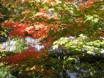 DSCN0493.jpg