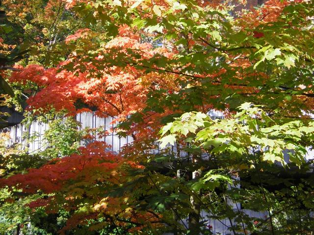 DSCN0493.jpg