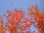 DSCN0494.jpg