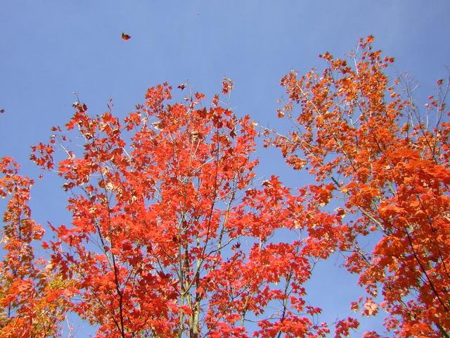 DSCN0494.jpg