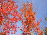 DSCN0495.jpg