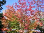 DSCN0496.jpg