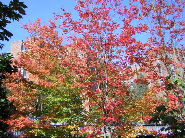 DSCN0496.jpg
