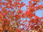 DSCN0497.jpg