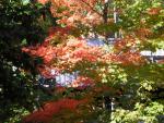 DSCN0498.jpg