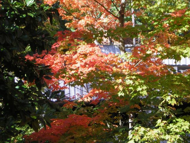DSCN0498.jpg