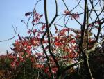 DSCN0499.jpg