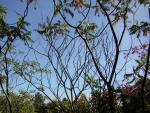 DSCN0500.jpg