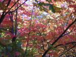 DSCN0504.jpg