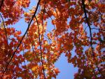DSCN0508.jpg